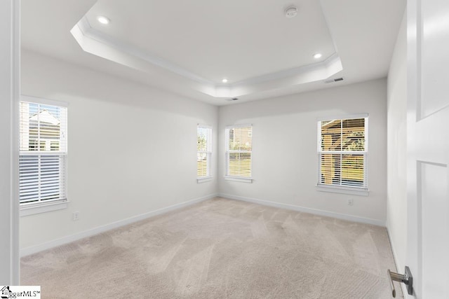 carpeted spare room with a tray ceiling and a wealth of natural light