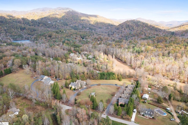 drone / aerial view featuring a mountain view