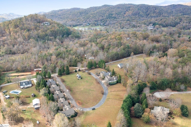 birds eye view of property featuring a mountain view