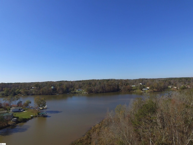 1057 Smyrna Hill Rd, Waterloo SC, 29384 land for sale