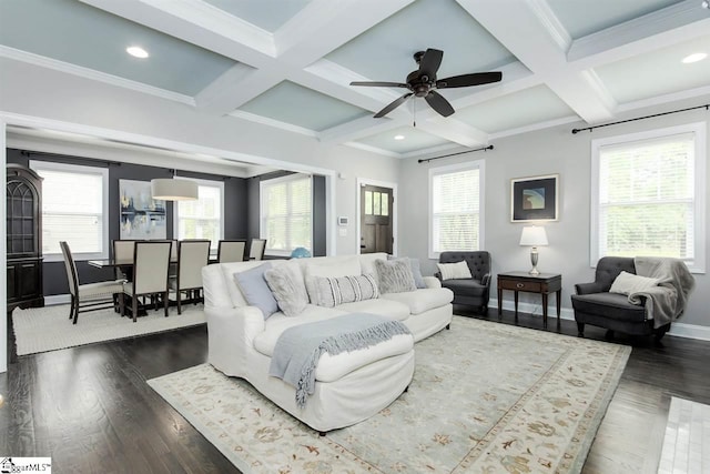 living room featuring ceiling fan, coffered ceiling, beamed ceiling, dark hardwood / wood-style floors, and ornamental molding