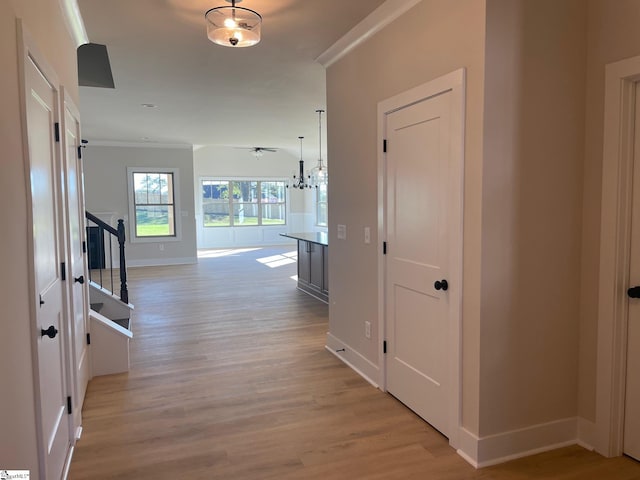 corridor with crown molding and light hardwood / wood-style floors