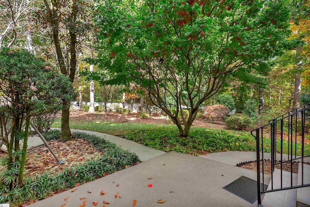 124 Bradley Park, Anderson, SC 29621 - view of property's community with a patio area