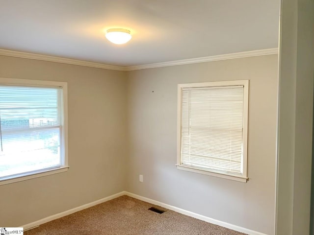 carpeted spare room with crown molding