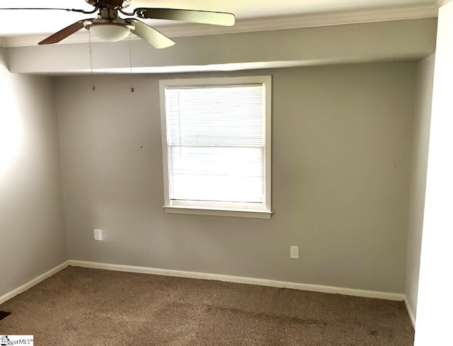 unfurnished room with ceiling fan, carpet floors, and ornamental molding