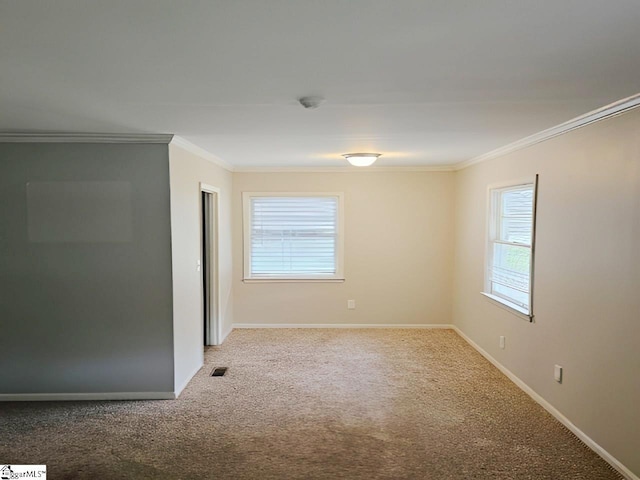 spare room featuring carpet flooring and crown molding