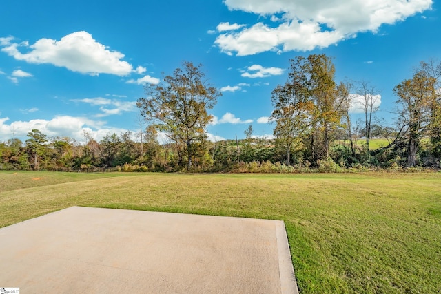 view of yard featuring a patio area