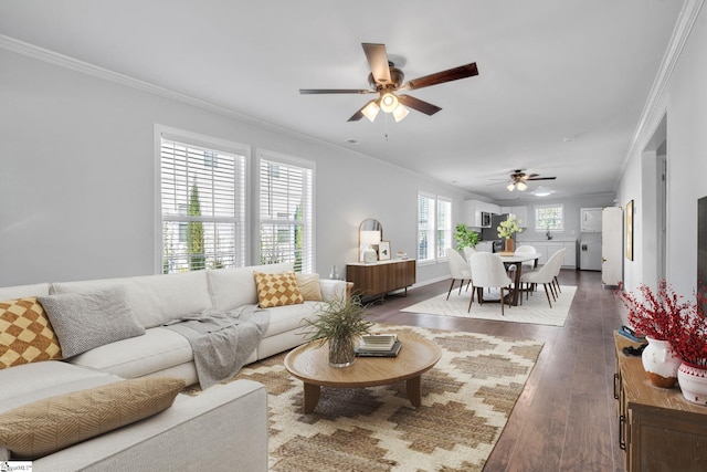 living room with ceiling fan, dark hardwood / wood-style flooring, and crown molding