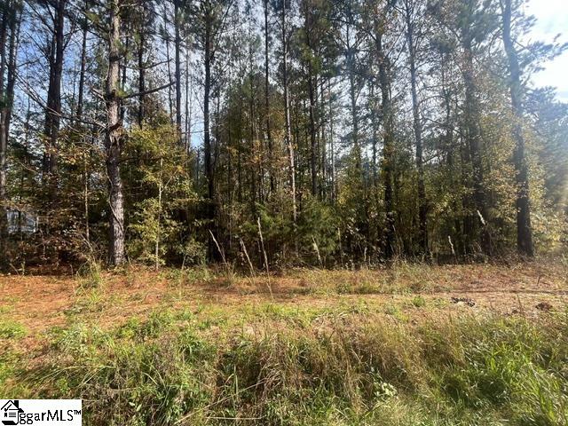 00 Charlottes Rd, Clinton SC, 29325 land for sale