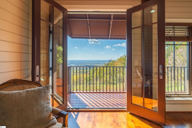 doorway with hardwood / wood-style floors