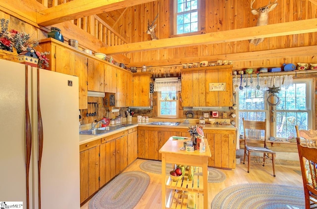 kitchen featuring plenty of natural light, white fridge, light hardwood / wood-style flooring, and sink