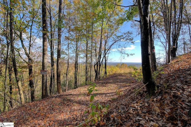 view of nature