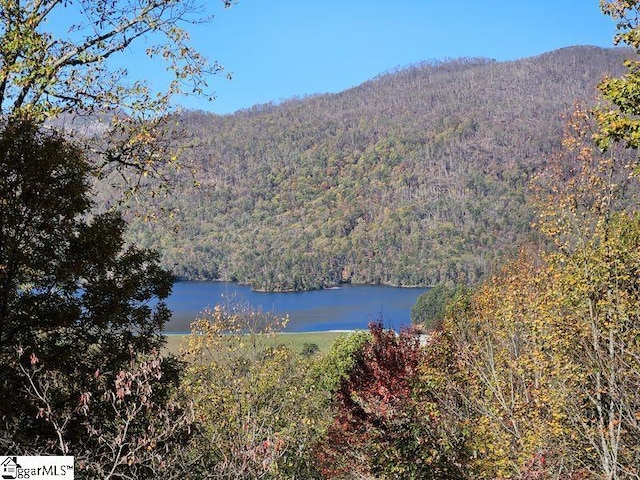 property view of water with a mountain view