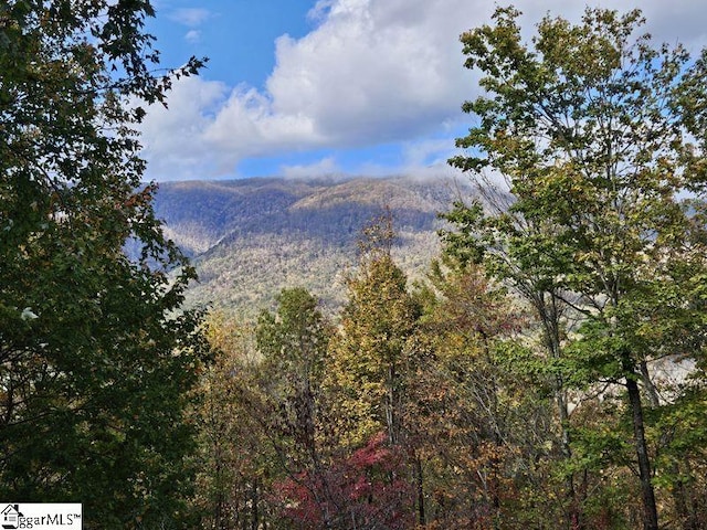 view of mountain feature