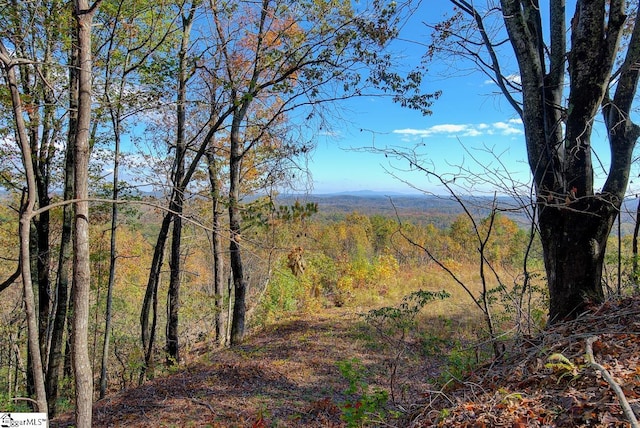 view of mountain feature