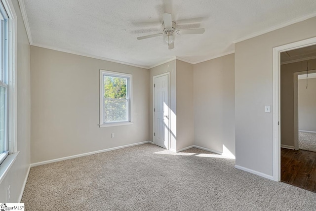 spare room featuring carpet, a textured ceiling, and ornamental molding