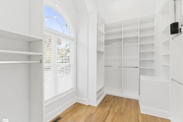 spacious closet with hardwood / wood-style flooring