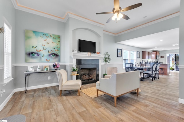 living room featuring ceiling fan, ornamental molding, and light hardwood / wood-style flooring