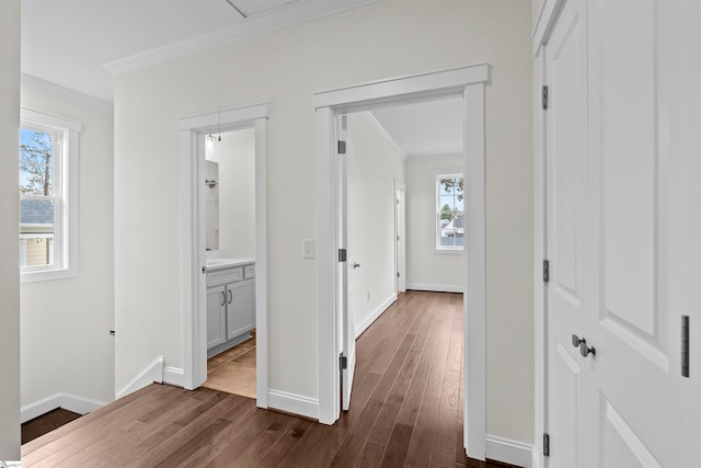 corridor featuring ornamental molding and dark wood-type flooring