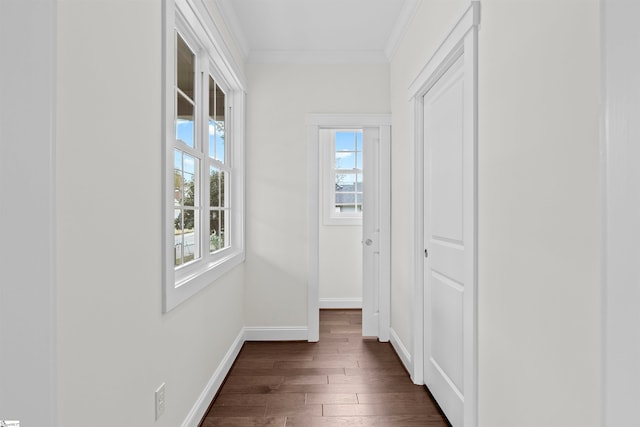 hall with crown molding and dark hardwood / wood-style floors