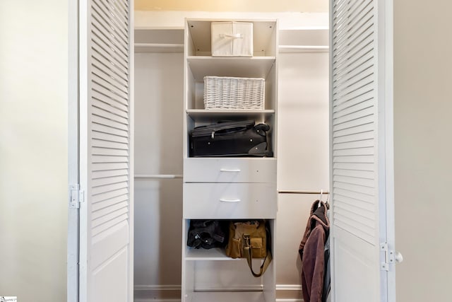 view of closet