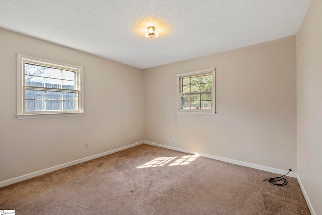 carpeted spare room with a wealth of natural light and a textured ceiling