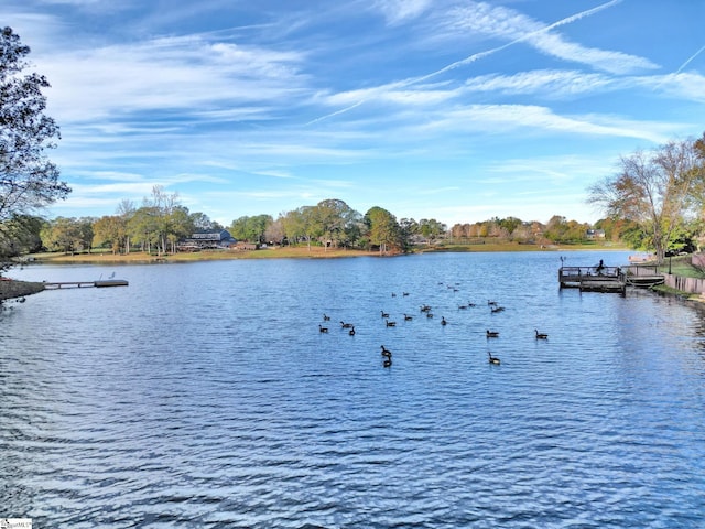 view of water feature featuring a dock