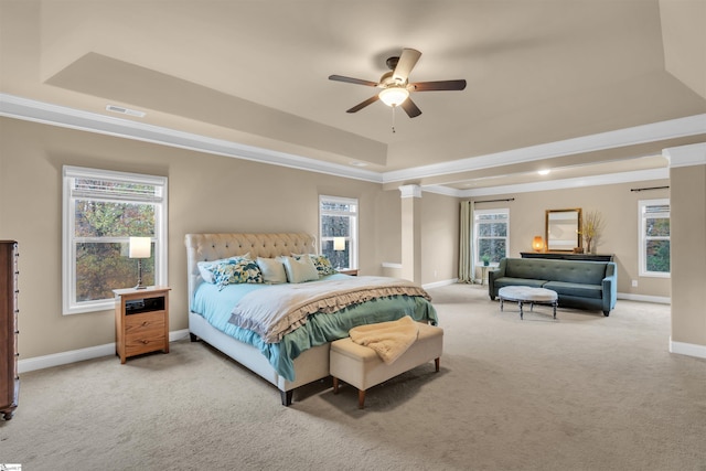 carpeted bedroom with a tray ceiling and multiple windows