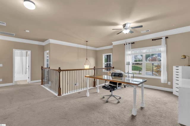 home office featuring ceiling fan, light colored carpet, and ornamental molding