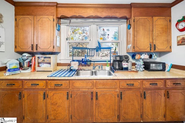 kitchen with sink and ornamental molding