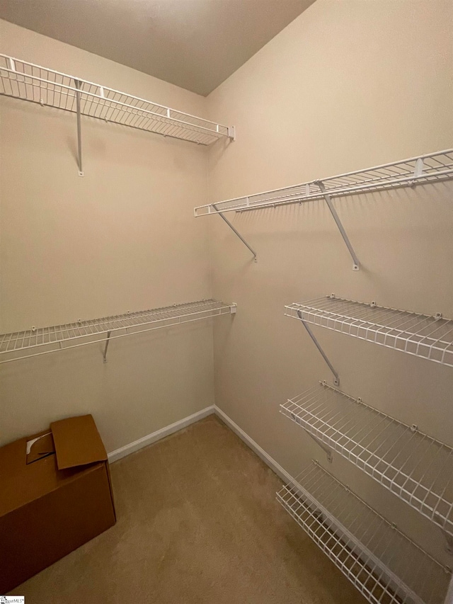 walk in closet featuring carpet