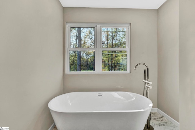 bathroom featuring a washtub