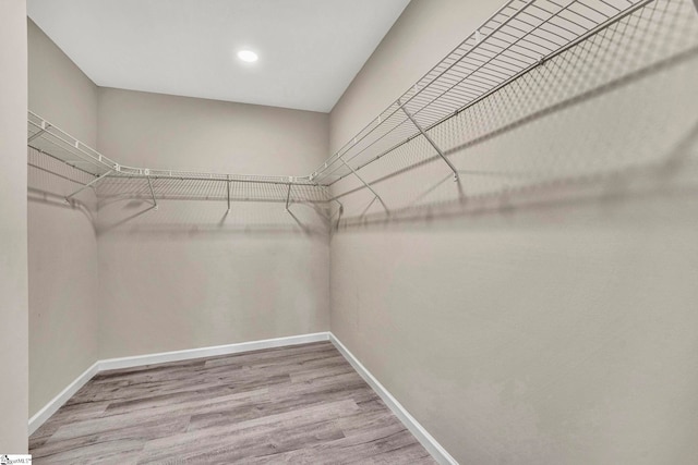 walk in closet with wood-type flooring