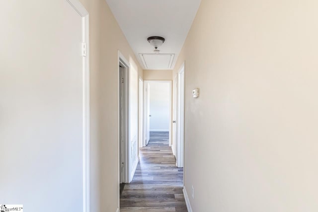 corridor featuring dark hardwood / wood-style floors