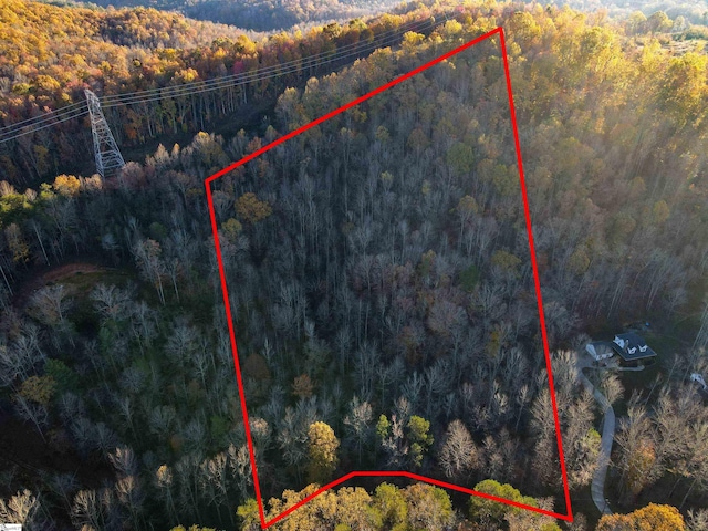 Listing photo 3 for 000 Sweet Gum Valley Rd, Travelers Rest SC 29690