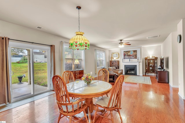 dining space featuring ceiling fan and light hardwood / wood-style flooring