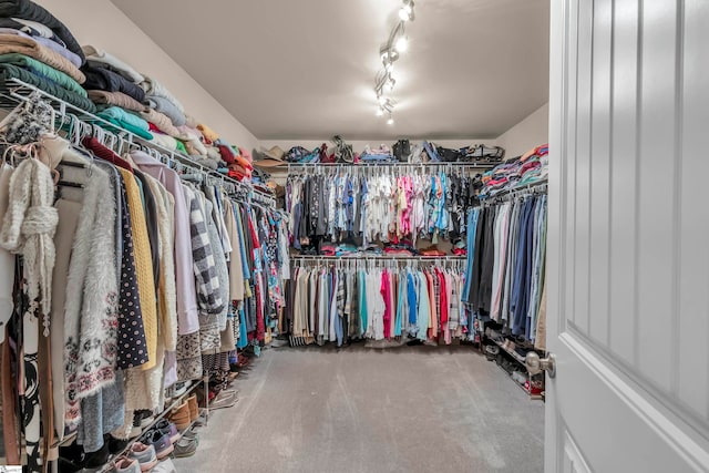 spacious closet with carpet