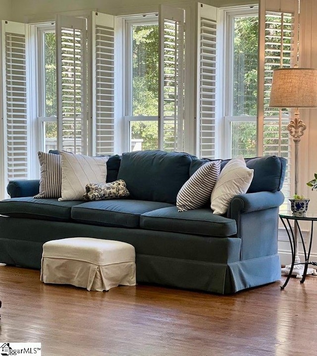 living room featuring hardwood / wood-style floors