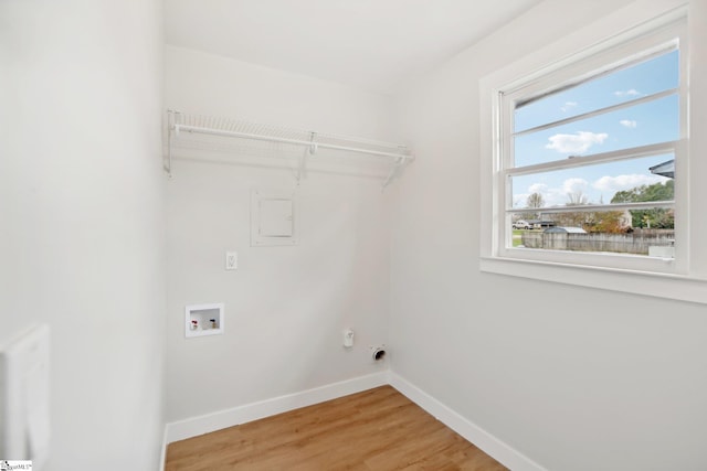 laundry room with electric dryer hookup, hardwood / wood-style floors, and washer hookup