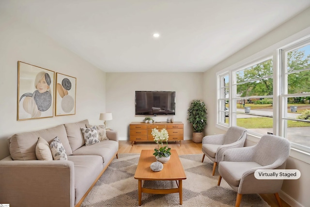 living room featuring light hardwood / wood-style flooring