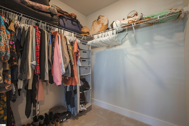 spacious closet with carpet floors