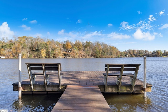 dock area featuring a water view