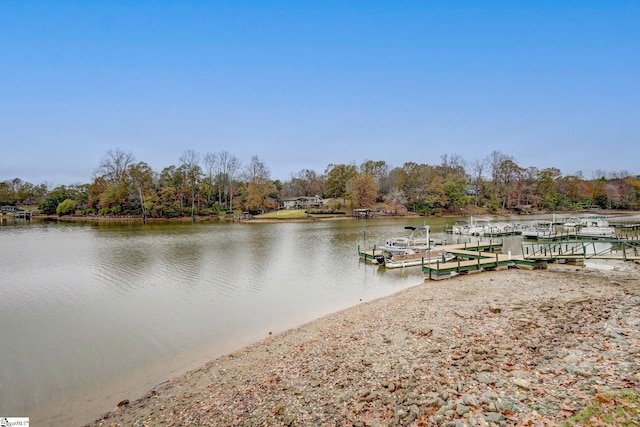 dock area with a water view