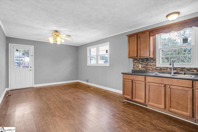 kitchen with dark hardwood / wood-style floors, decorative backsplash, sink, and a wealth of natural light