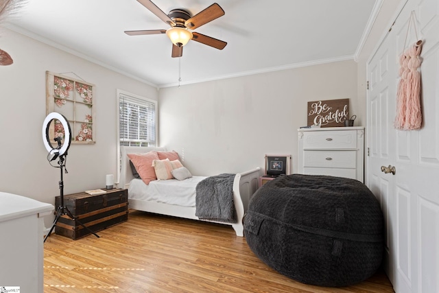 bedroom with light hardwood / wood-style flooring, ceiling fan, and ornamental molding