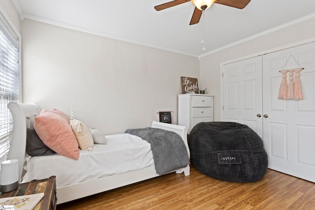 bedroom with ceiling fan, a closet, wood-type flooring, and ornamental molding