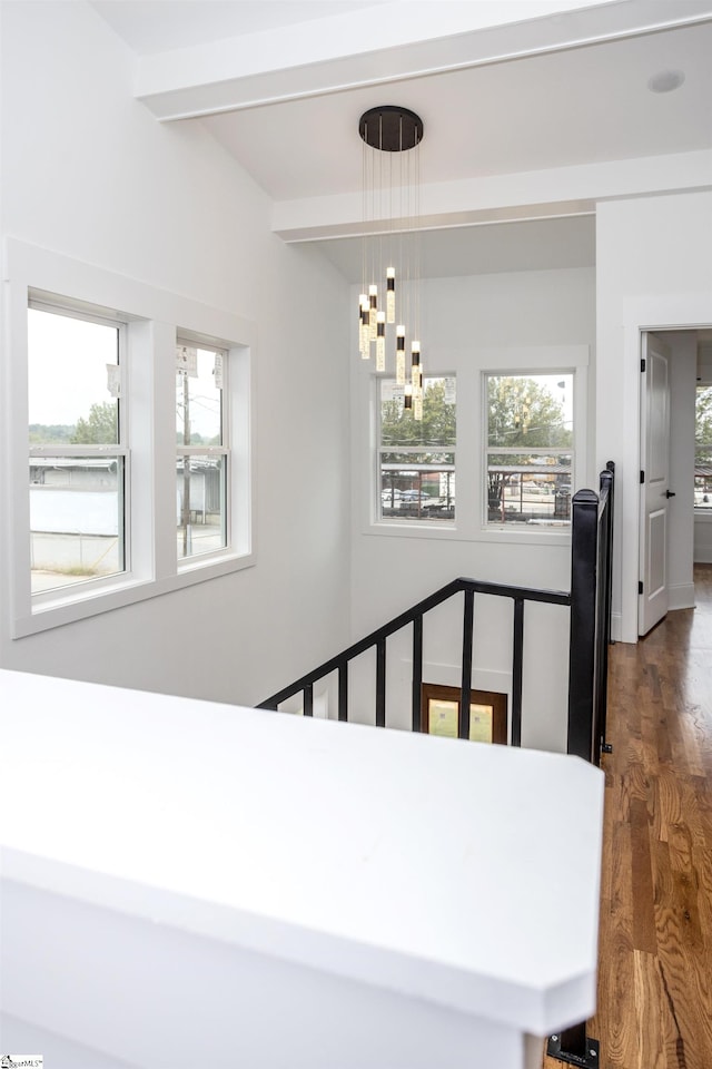 stairs featuring wood-type flooring, a wealth of natural light, and a chandelier