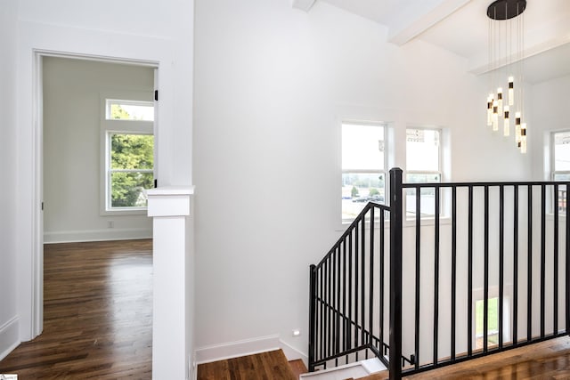 stairway with beam ceiling and wood-type flooring