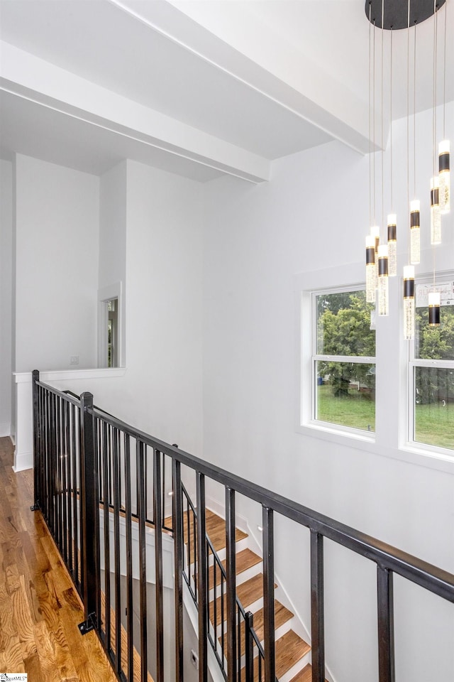 corridor with beam ceiling, an inviting chandelier, and light wood-type flooring