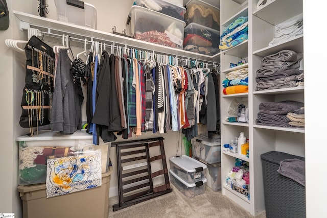 spacious closet with carpet floors